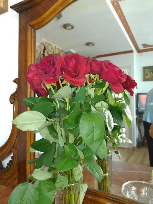 Luxury Apartamenty Pineda de Mar 0*,